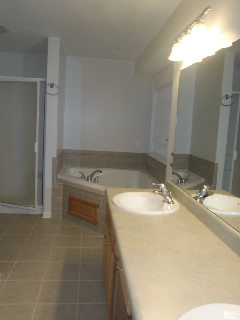 307 Aftons Meadow Road Vinton, VA 24179 - Photo 30 of 44 Large Master bath with double sinks