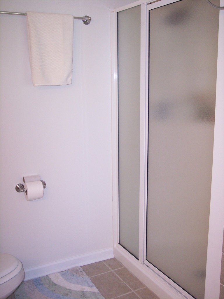 307 Aftons Meadow Road Vinton, VA 24179 - Photo 32 of 44 Walk in shower with door