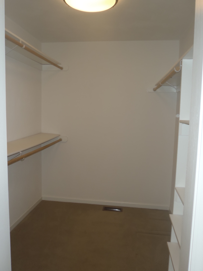 307 Aftons Meadow Road Vinton, VA 24179 - Photo 33 of 44 Huge walk in closet master bath
