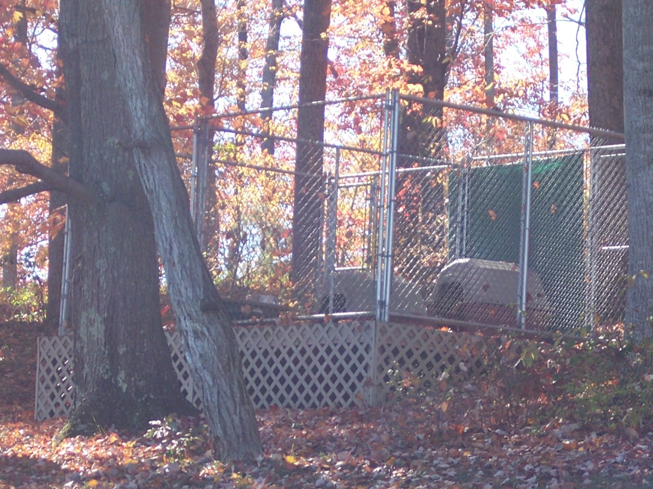 307 Aftons Meadow Road Vinton, VA 24179 - Photo 9 of 44 Dog kennels in shaded area