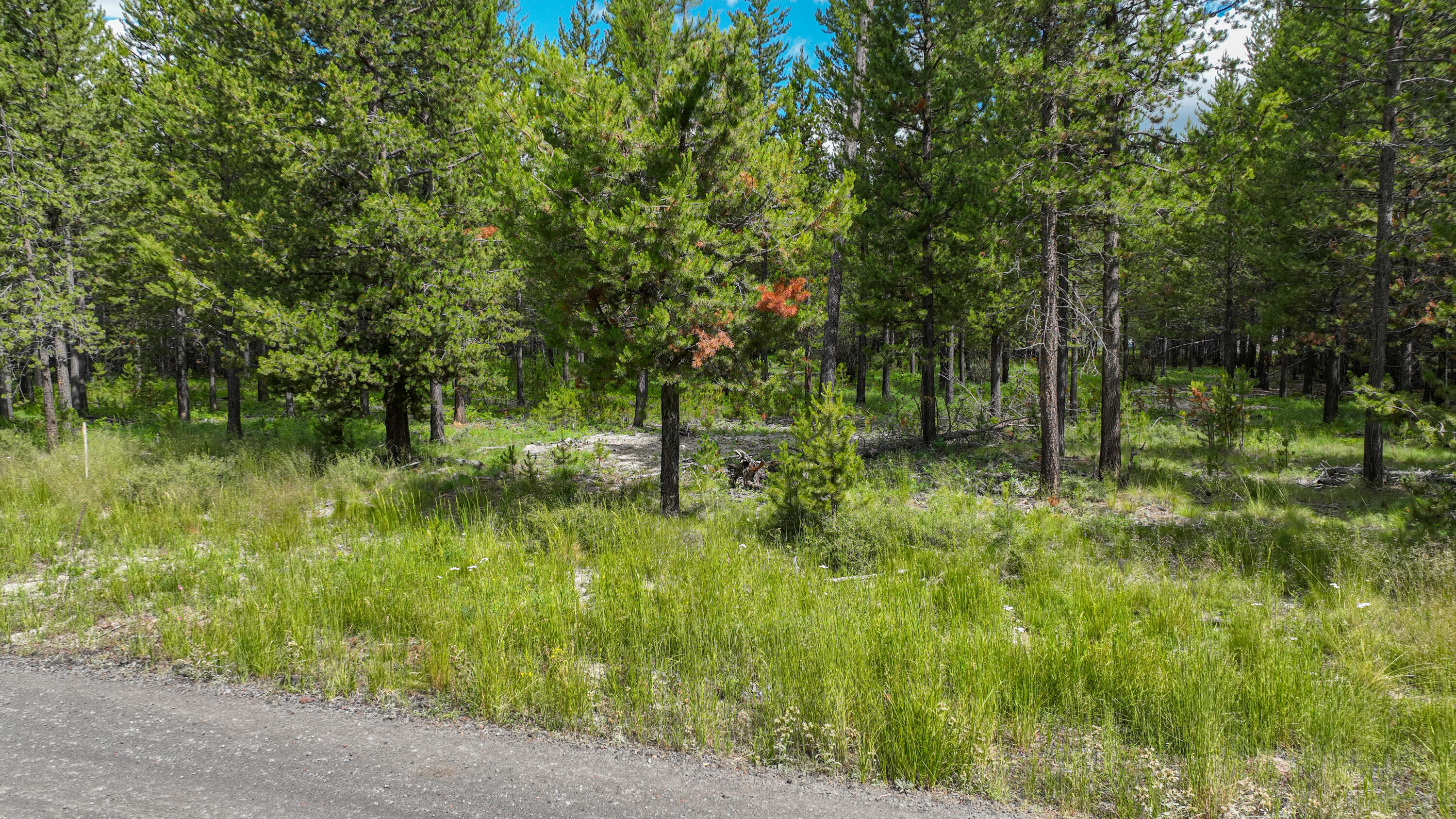 17172 Jacinto Road Bend, OR 97707 - Photo 4 of 5 From Road