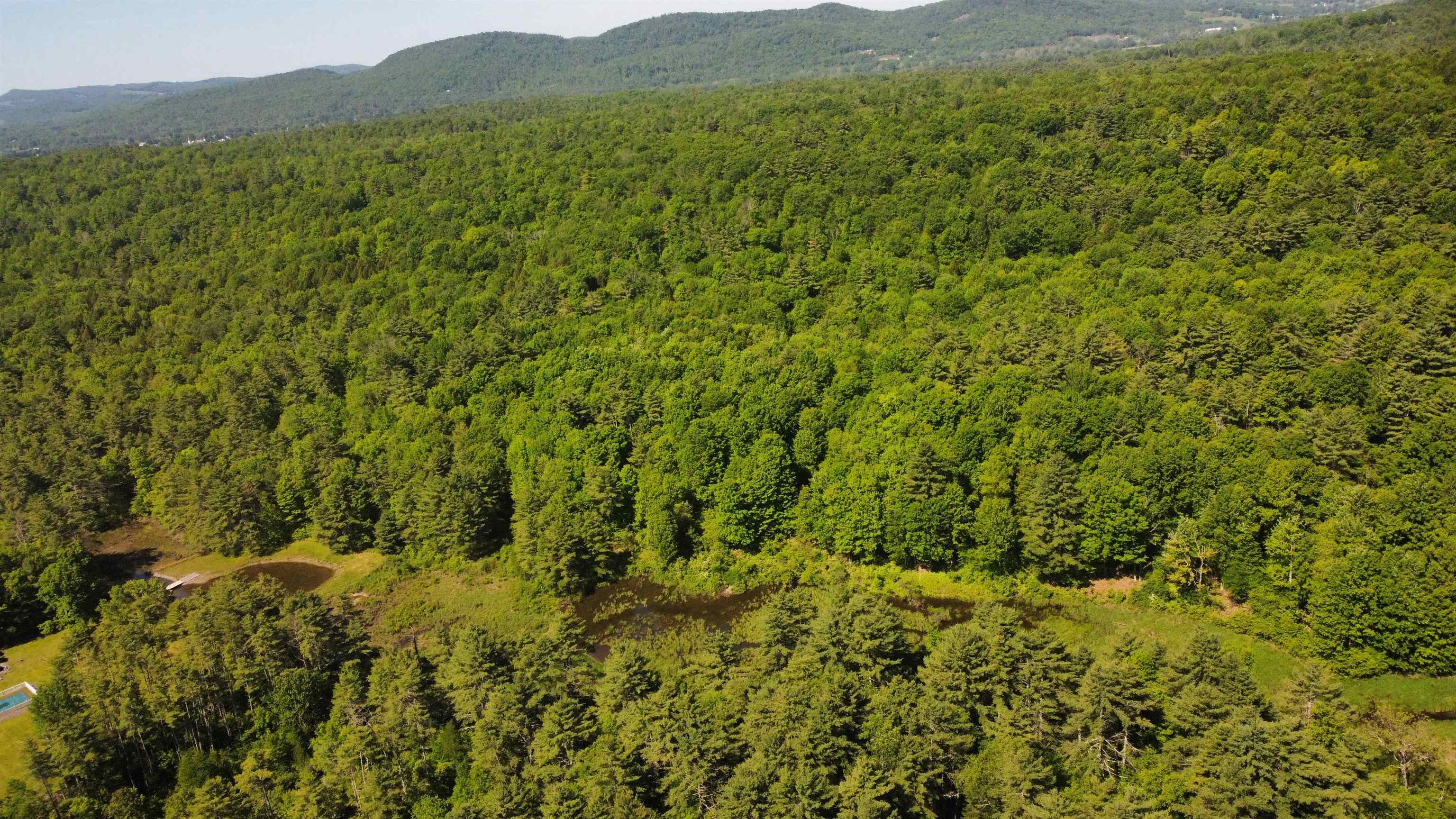 0 Bullfrog Hollow Road Wells, VT 05774 - Photo 9 of 26
