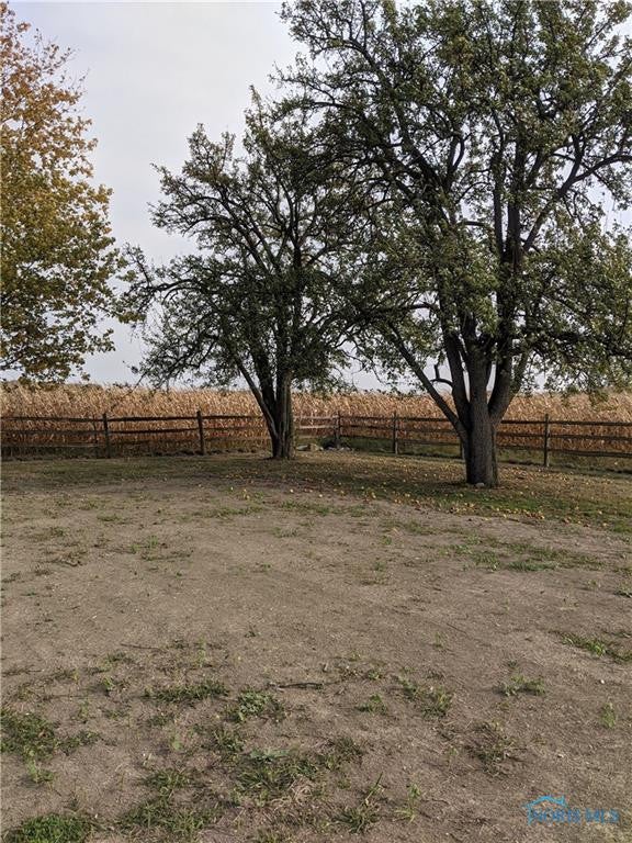 24630 Pemberville Road Perrysburg, OH 43551 - Photo 19 of 20 Back yard.