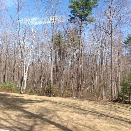 844 Muddy Brook Road Hardwick, MA 01082 - Photo 6 of 7 Gallery Image 6