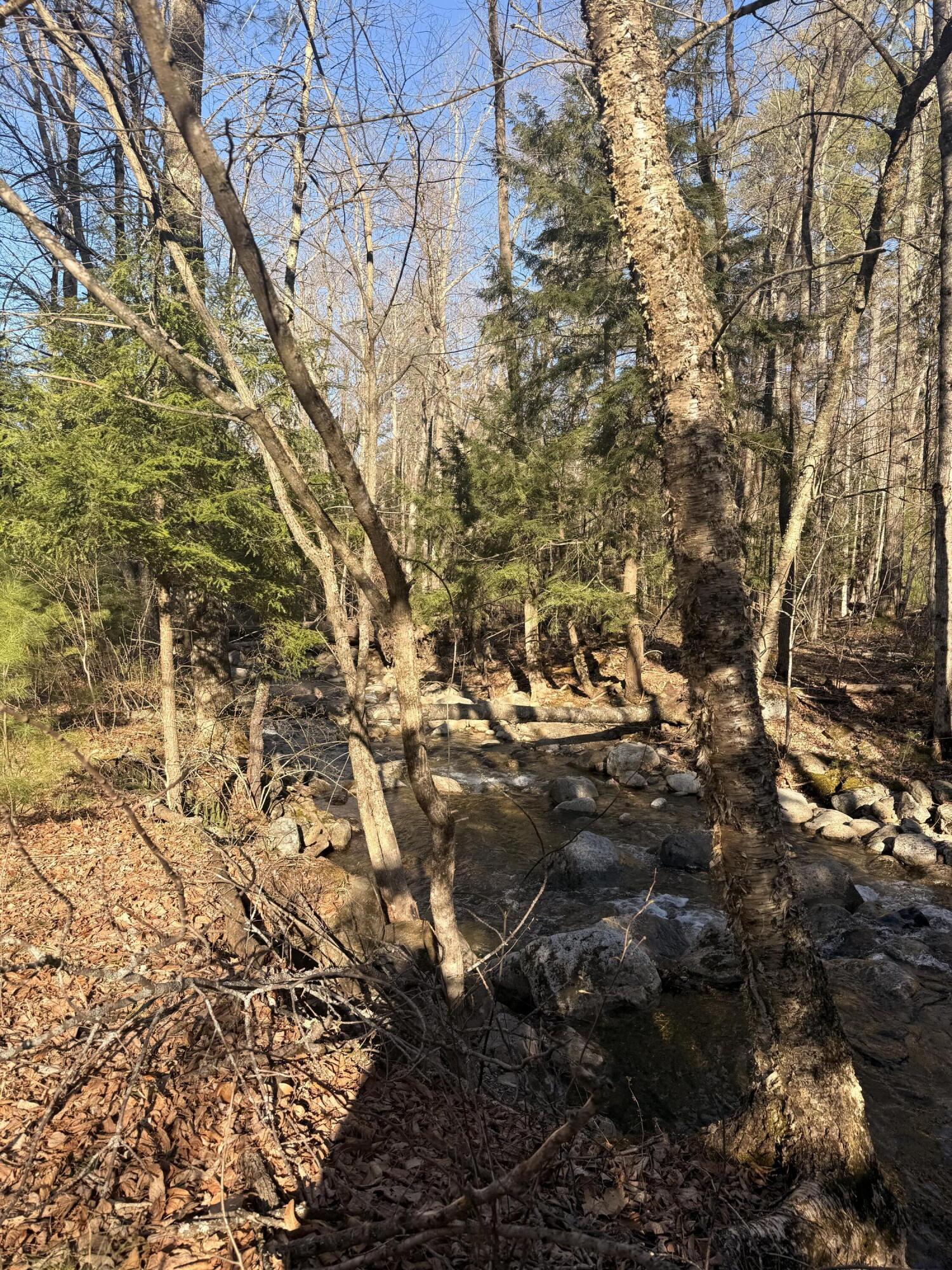 58 Hewitt Road St. Regis Falls, NY 12980 - Photo 101 of 126