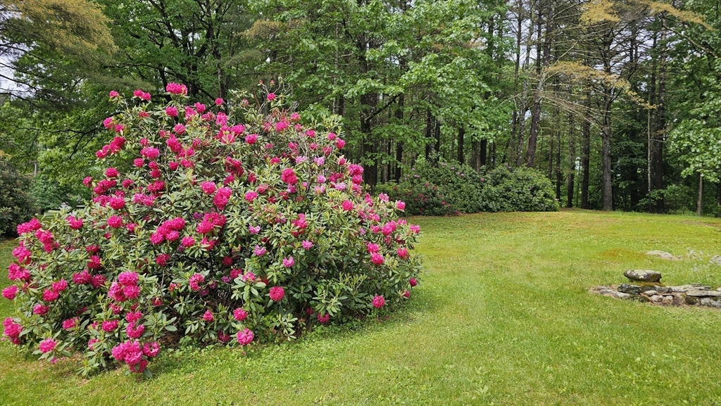 723 Ryan Road Northampton, MA 01062 - Photo 8 of 41
