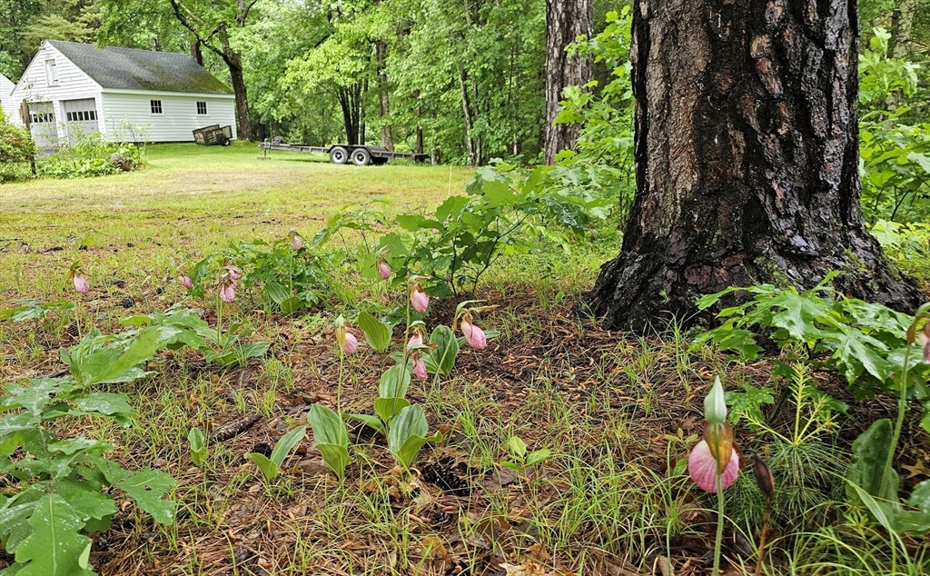 723 Ryan Road Northampton, MA 01062 - Photo 9 of 41