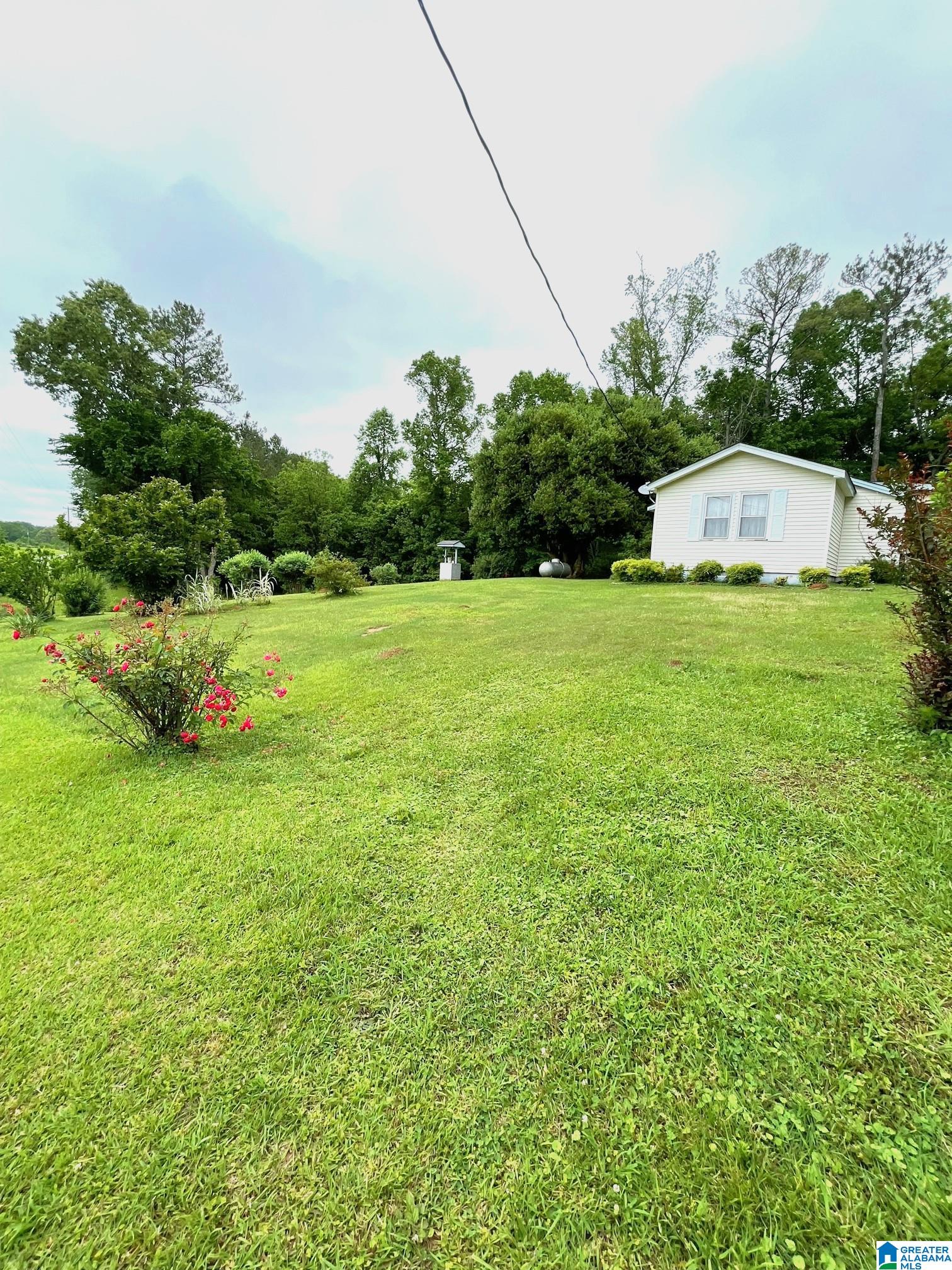 5827 Highway 431 Heflin, AL 36264 - Photo 5 of 21