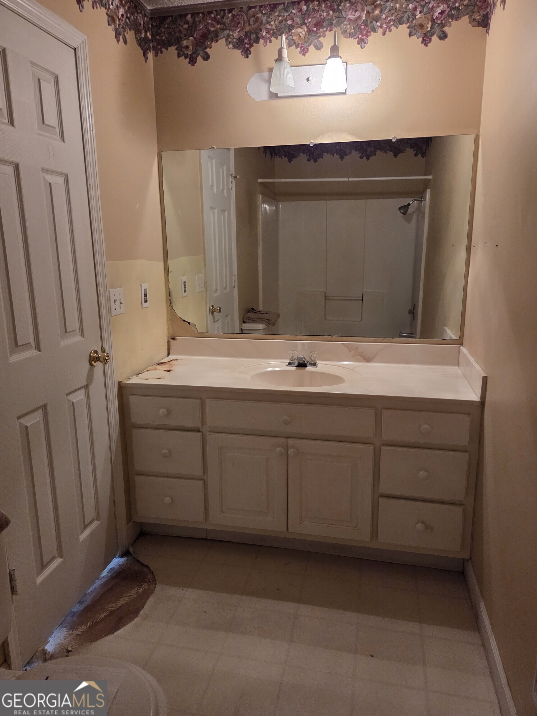 9546 Union Road Metter, GA 30439 - Photo 30 of 45 a bathroom with a sink and a mirror