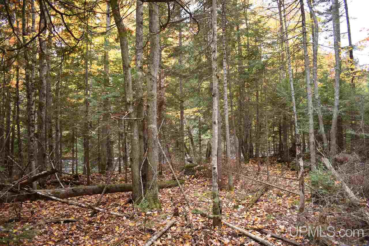 9-acres Deerton Road Deerton, MI 49822 - Photo 15 of 37 Gallery Image 15