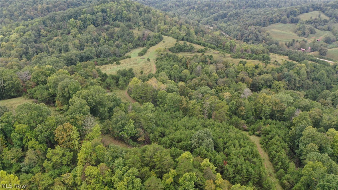 0 Bell Run Road Brohard, WV 26138 - Photo 5 of 30