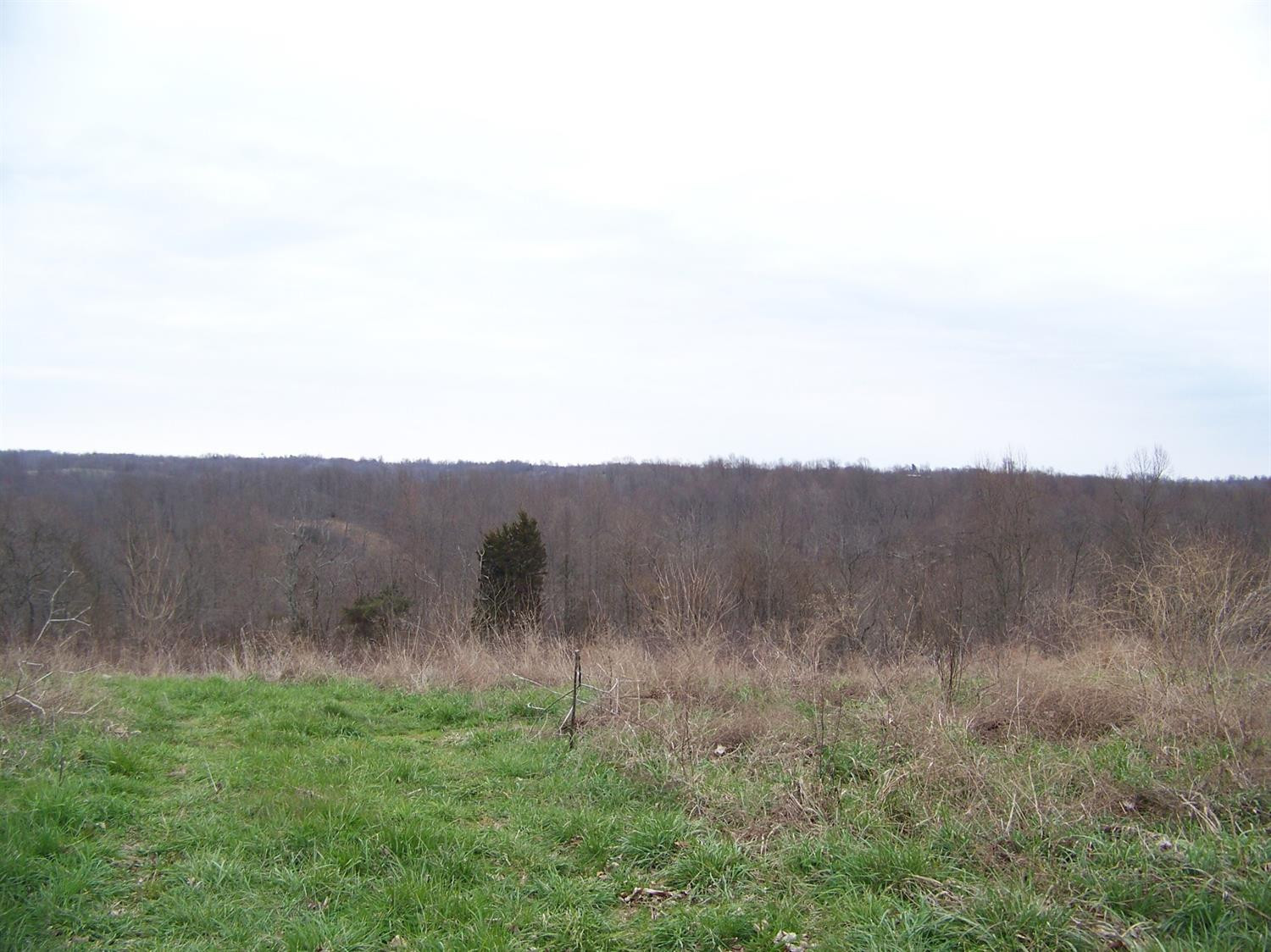 740 Horse Ridge Road Stanford, KY 40484 - Photo 3 of 22 Listing Photo