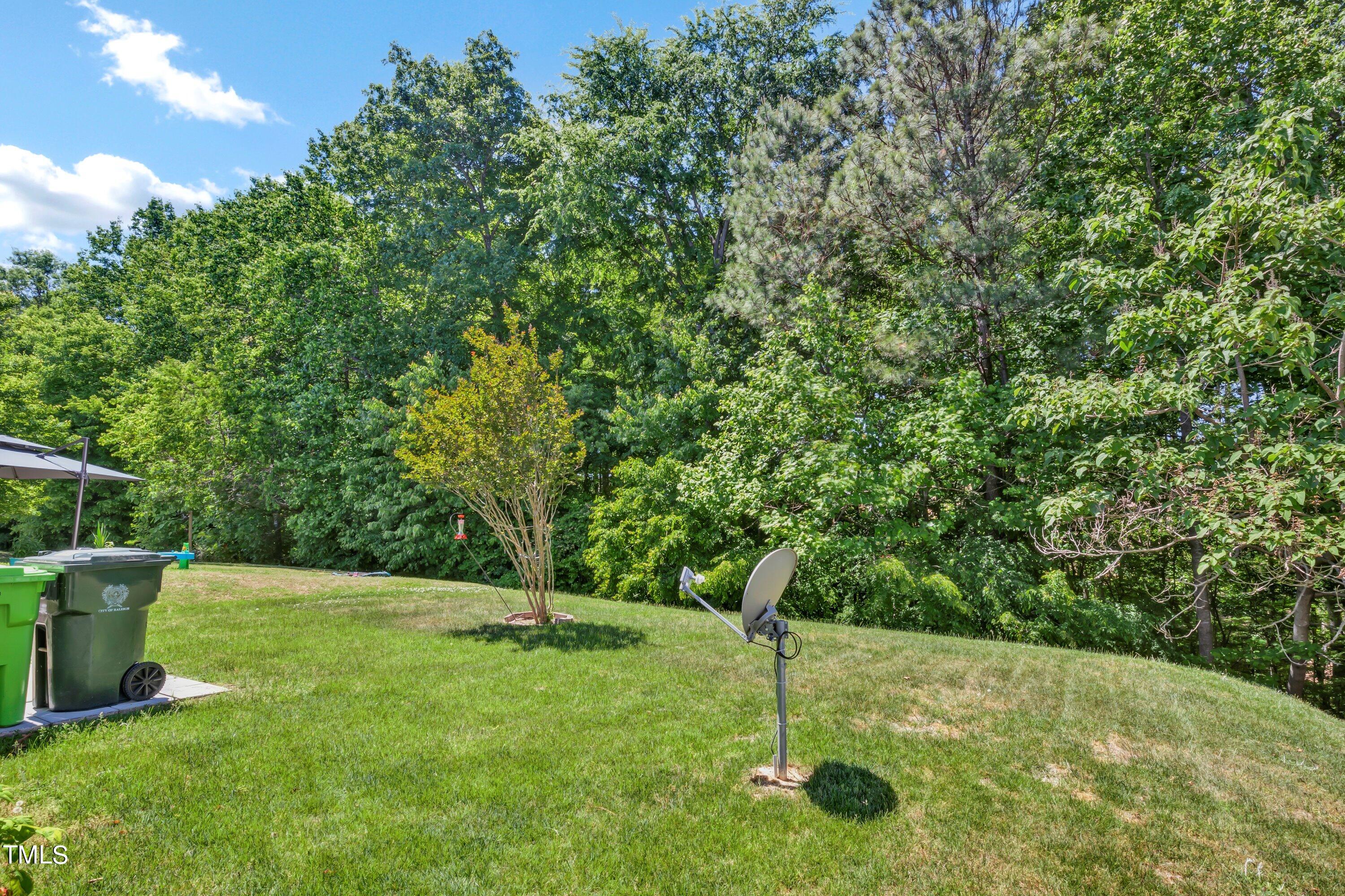 3932 Cane Garden Drive Raleigh, NC 27610 - Photo 33 of 34 a backyard of a house with lots of green space