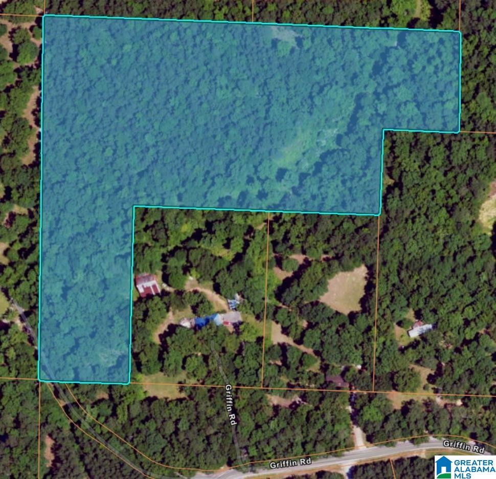 658 Griffin Road Chelsea, AL 35043 - Photo 2 of 2