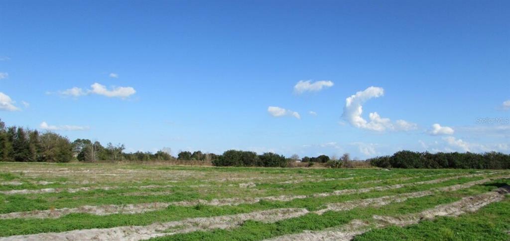 a view of an outdoor space and yard