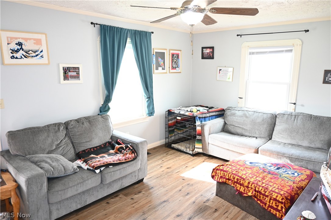 94 North 5th Street Rittman, OH 44270 - Photo 6 of 27 Living room with light wood-type flooring, a ceiling fan, and crown molding