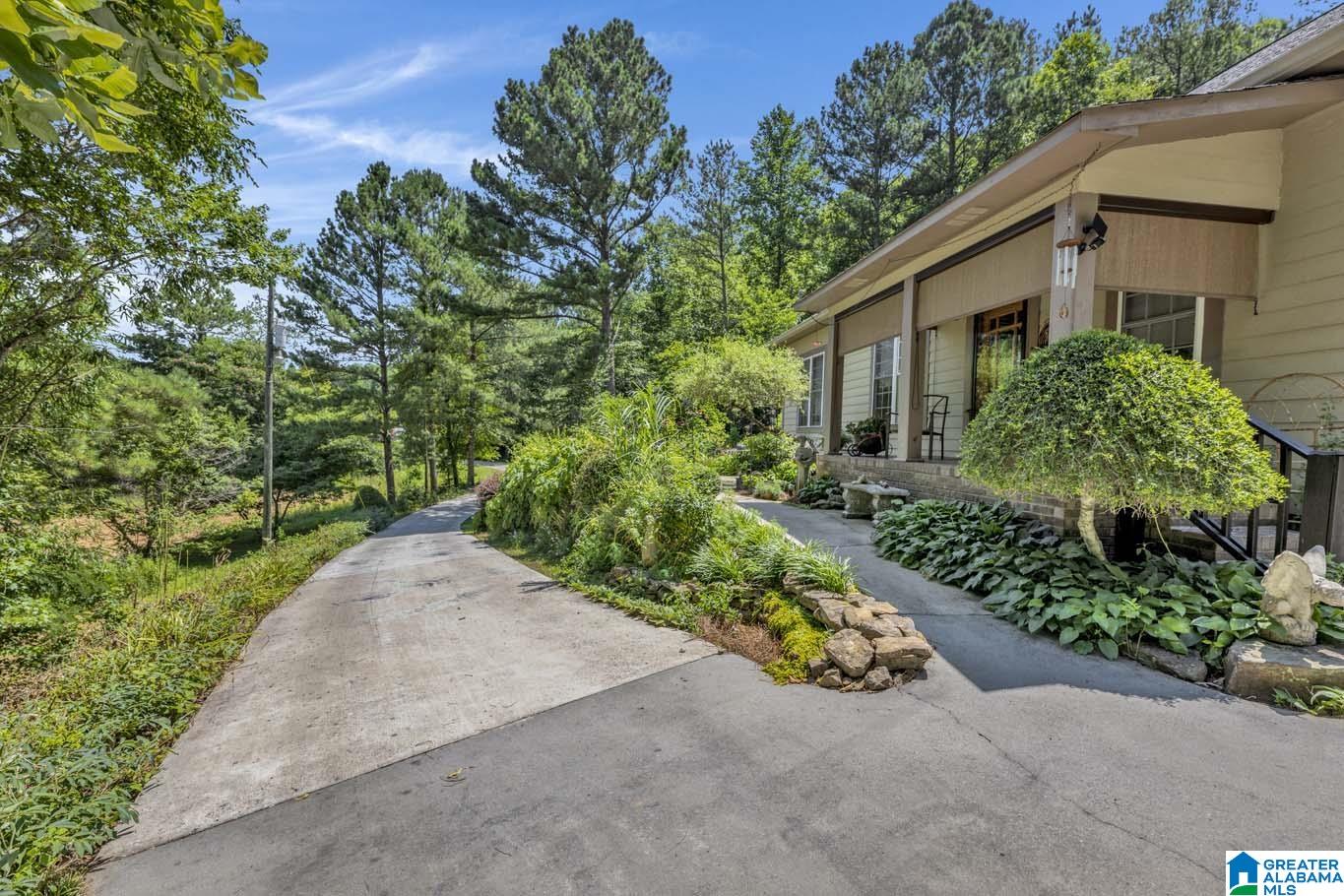 84 Dorr Road Oneonta, AL 35121 - Photo 4 of 44