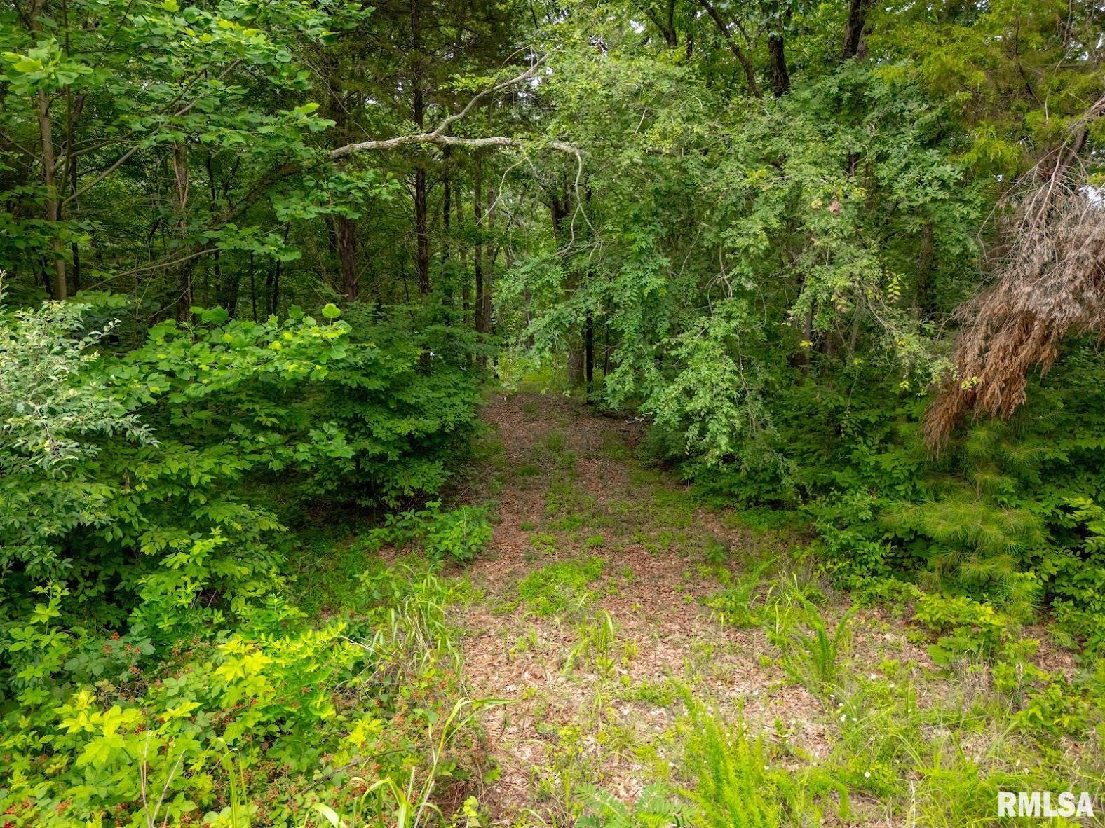 Lot 164 Parrish Ridge Lane Goreville, IL 62939 - Photo 8 of 17