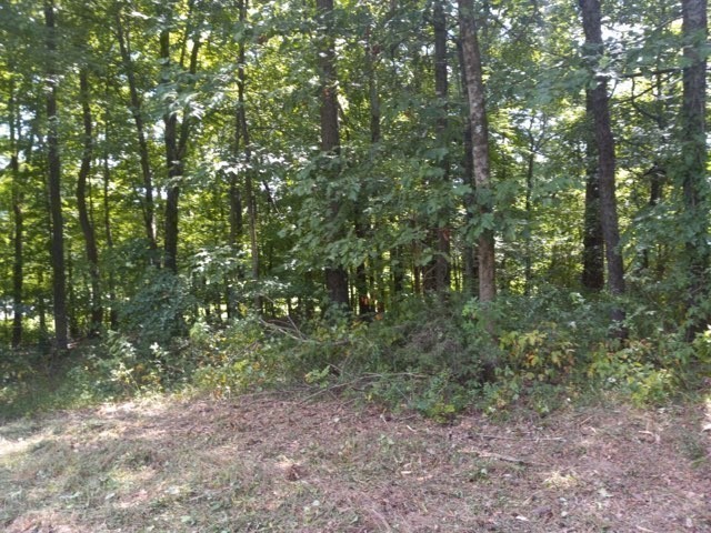 310 Rock Mcclain Road Dresden, TN 38225 - Photo 1 of 6 Gallery Image 1