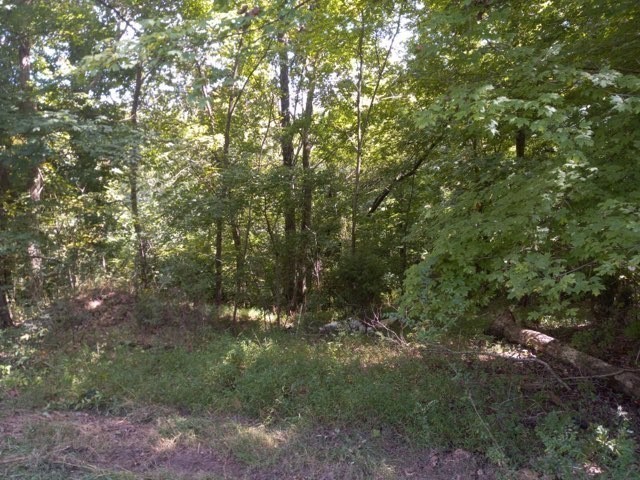 310 Rock Mcclain Road Dresden, TN 38225 - Photo 4 of 6 Gallery Image 4