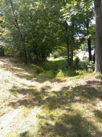 310 Rock Mcclain Road Dresden, TN 38225 - Photo 5 of 6 Gallery Image 5