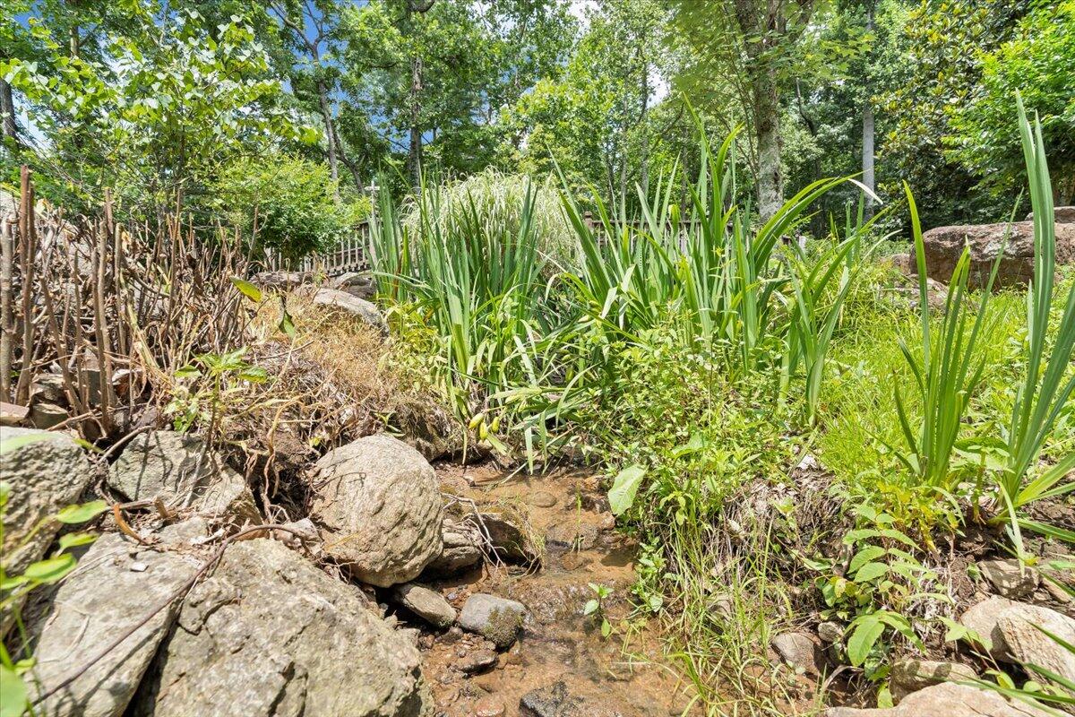 6796 Charlemont Road Goode, VA 24556 - Photo 70 of 78 70-MIB08917