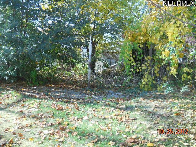 476 Patterson Avenue Akron, OH 44310 - Photo 2 of 3 Gallery Image 2