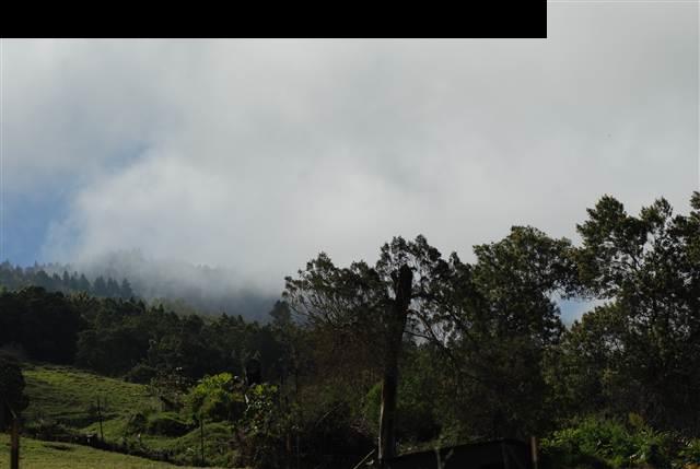 302 Laumania Road, Unit 36C Kula, HI 96790 - Photo 4 of 5 a view of a lake