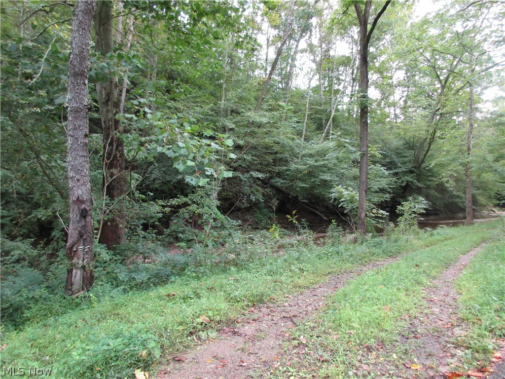 1570 Newells Run Road Newport, OH 45768 - Photo 2 of 6 Gallery Image 2