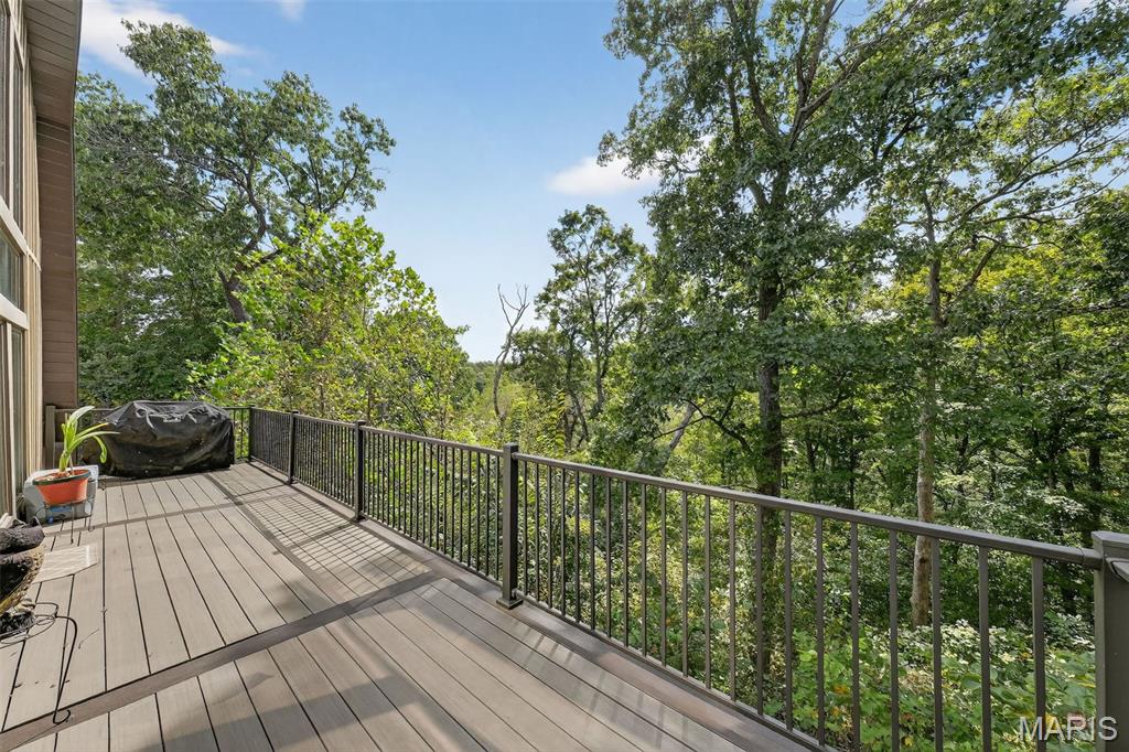 45 Blue Line Lane Silex, MO 63377 - Photo 44 of 56