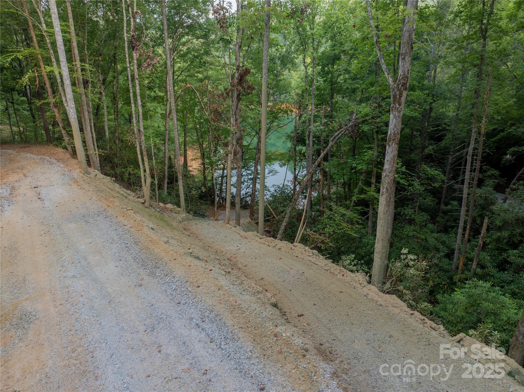 999 Howard Edwards Road Robbinsville, NC 28771 - Photo 12 of 16