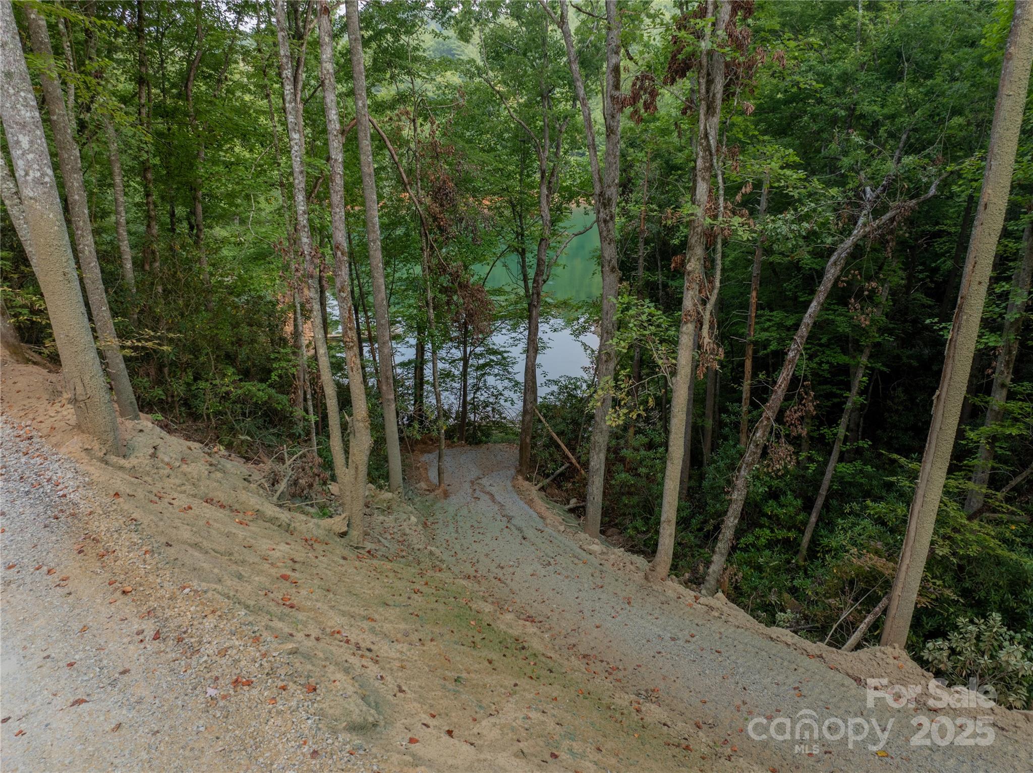 999 Howard Edwards Road Robbinsville, NC 28771 - Photo 5 of 16