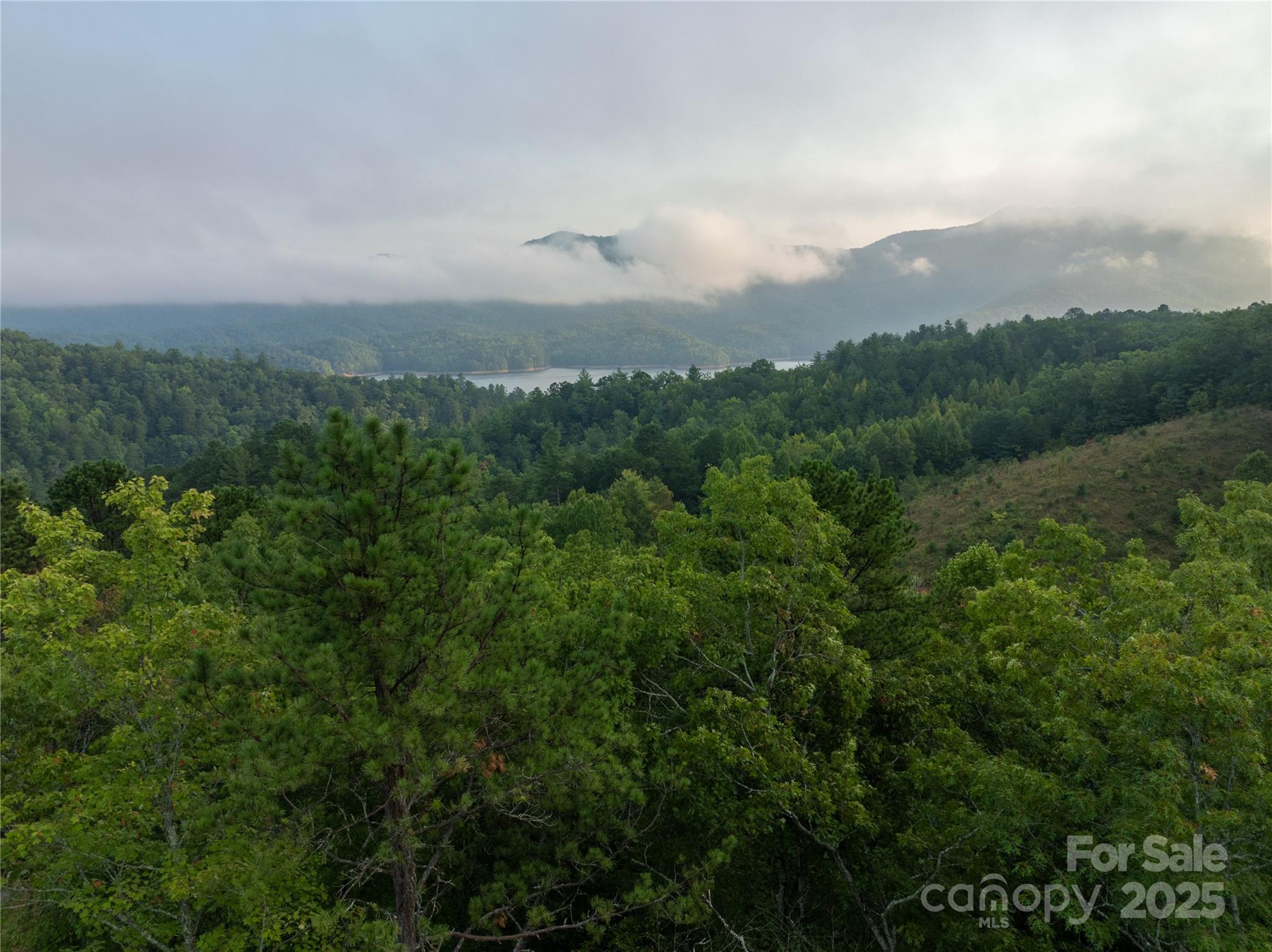 999 Howard Edwards Road Robbinsville, NC 28771 - Photo 8 of 16