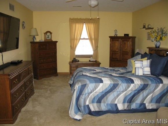 4204 Deming Drive Springfield, IL 62703 - Photo 14 of 24 Gallery Image 14