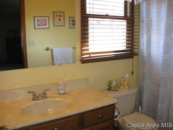 4204 Deming Drive Springfield, IL 62703 - Photo 15 of 24 Gallery Image 15