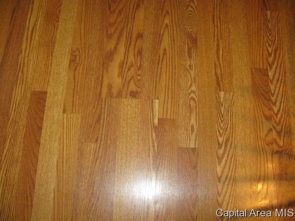 4204 Deming Drive Springfield, IL 62703 - Photo 10 of 24 Gallery Image 10
