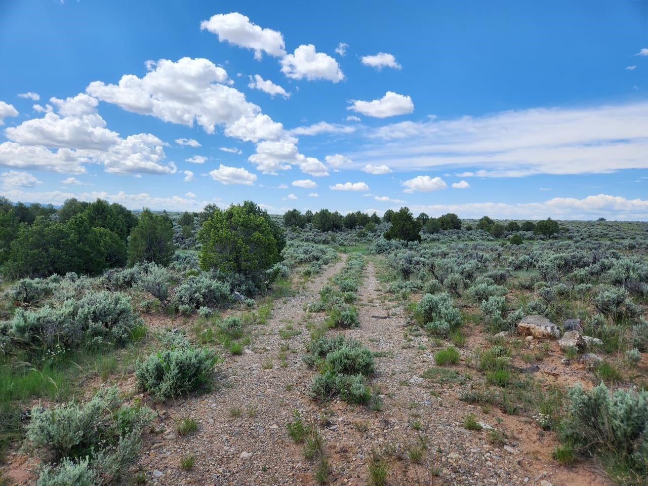 17 Aguaje Road Carson, NM 87517 - Photo 22 of 37