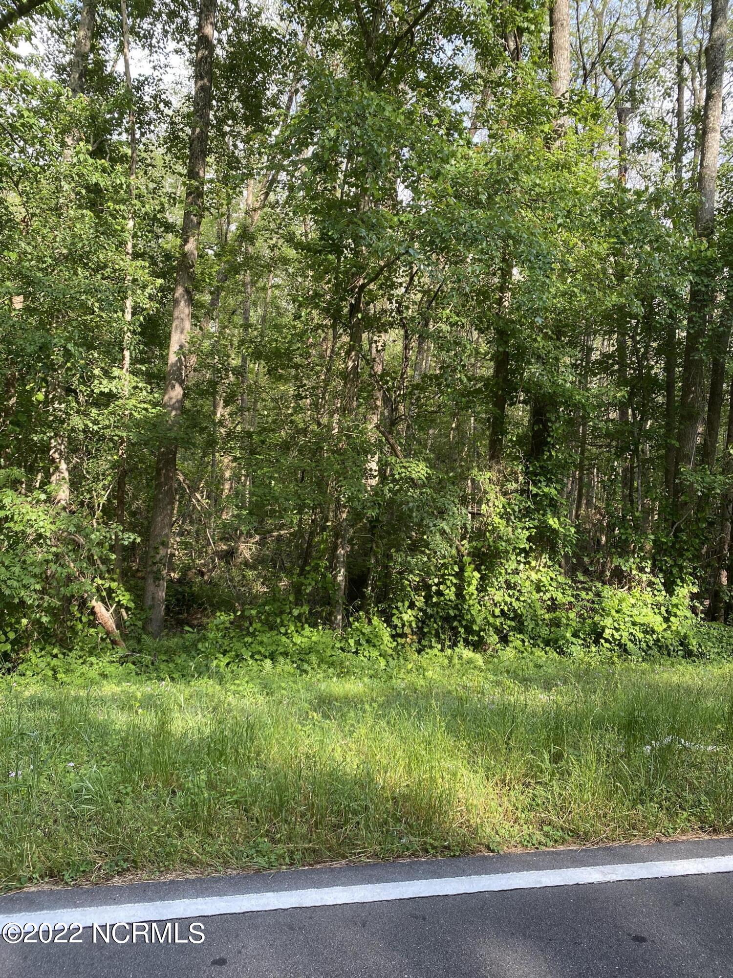 2 Homer Nance Road Evergreen, NC 28438 - Photo 8 of 17 IMG_7897