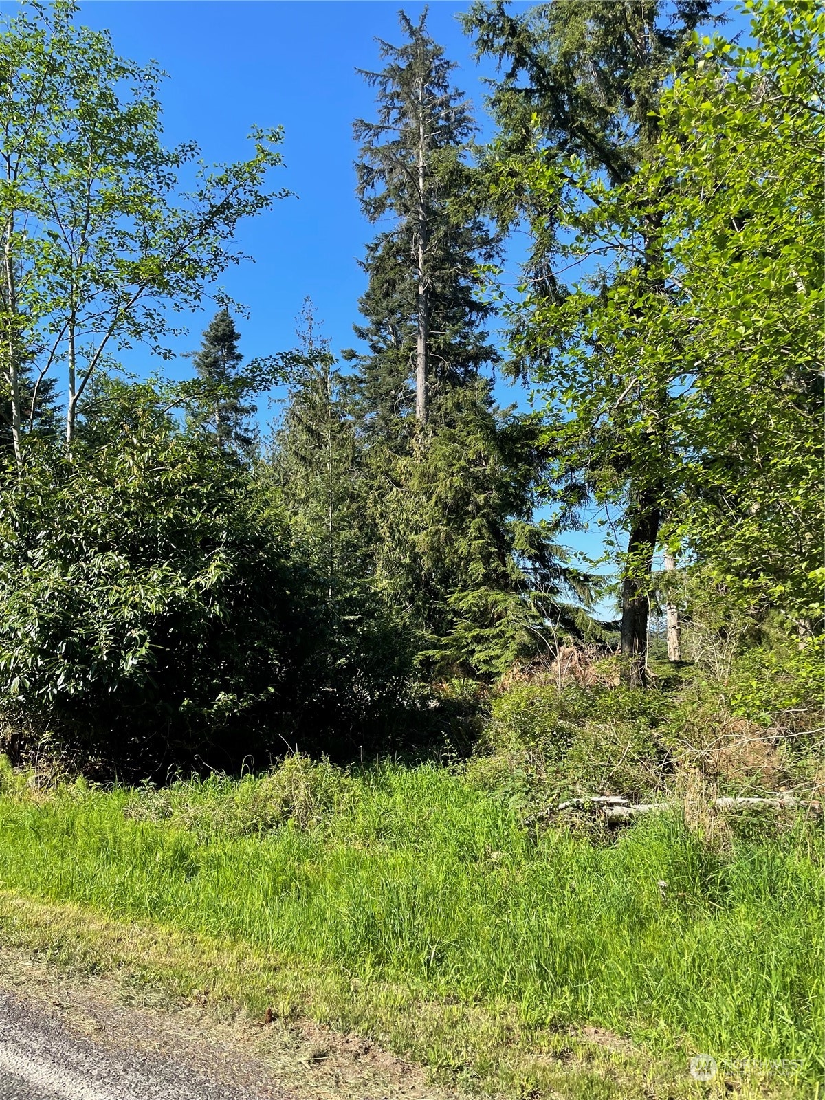 -nhn East Harbor Road Langley, WA 98260 - Photo 1 of 12 Gallery Image 1