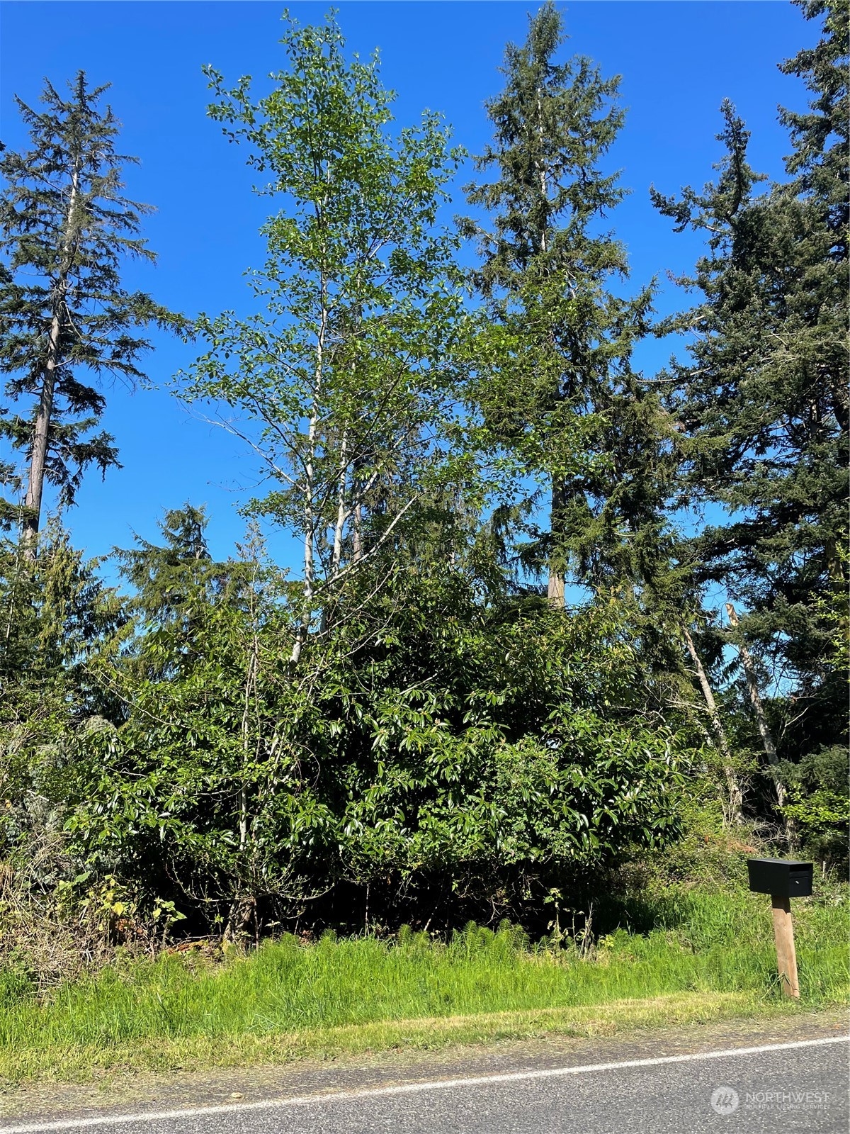 -nhn East Harbor Road Langley, WA 98260 - Photo 5 of 12 Gallery Image 5