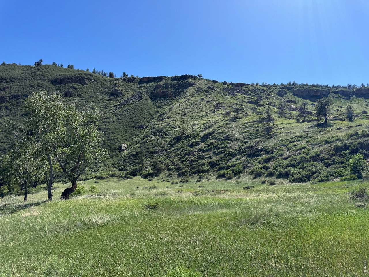 1115 Vision Way Lyons, CO 80540 - Photo 17 of 32 Meadow by the river