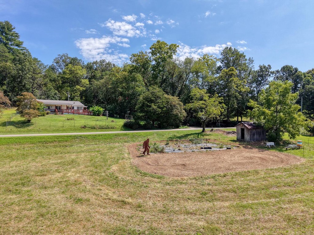 729 Collins Road Blairsville, GA 30512 - Photo 12 of 72