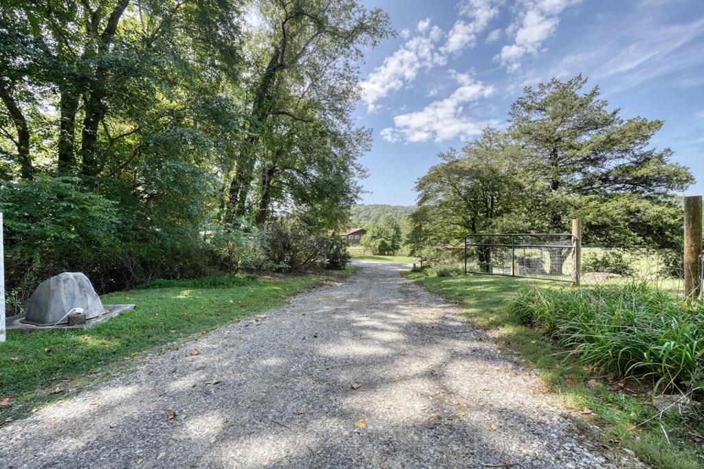 729 Collins Road Blairsville, GA 30512 - Photo 54 of 72