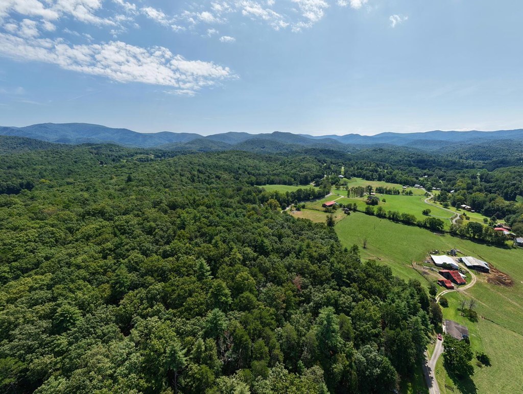 729 Collins Road Blairsville, GA 30512 - Photo 64 of 72