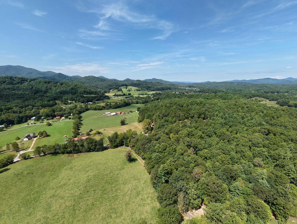 729 Collins Road Blairsville, GA 30512 - Photo 69 of 72
