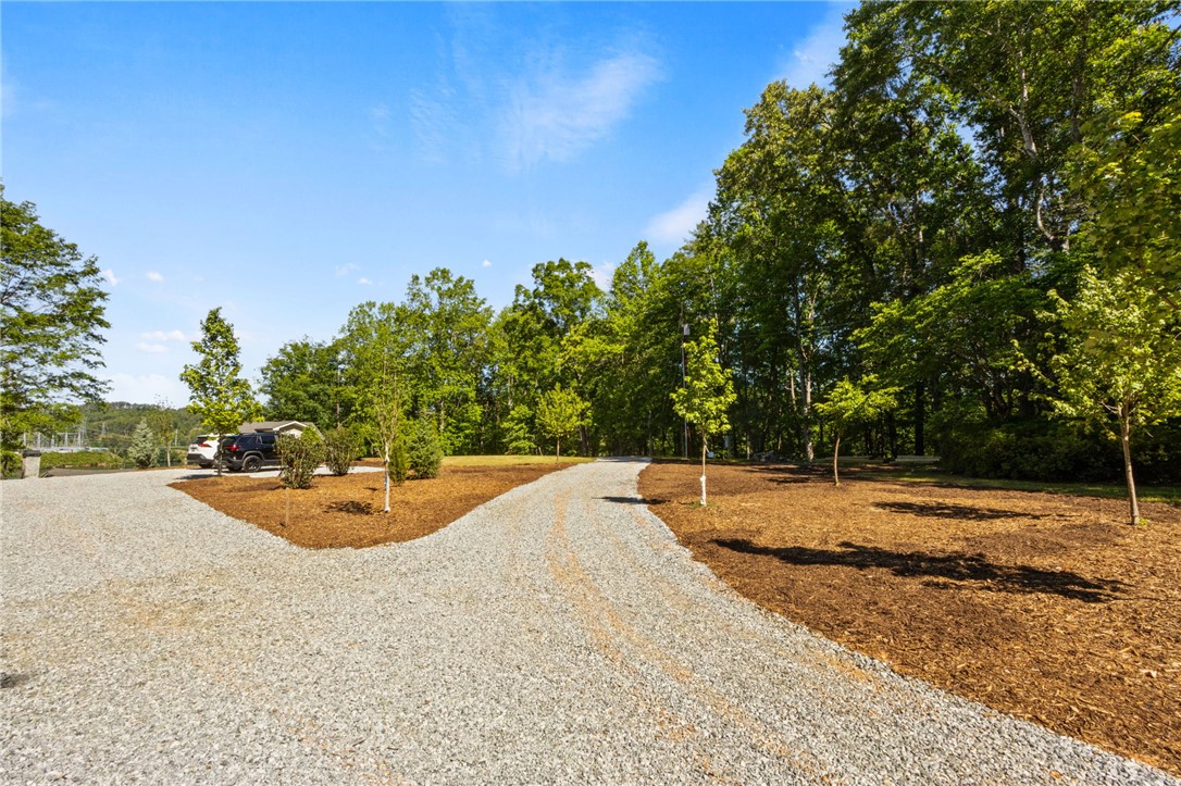 Lot 2 Johnson Drive Sunset, SC 29685 - Photo 16 of 22