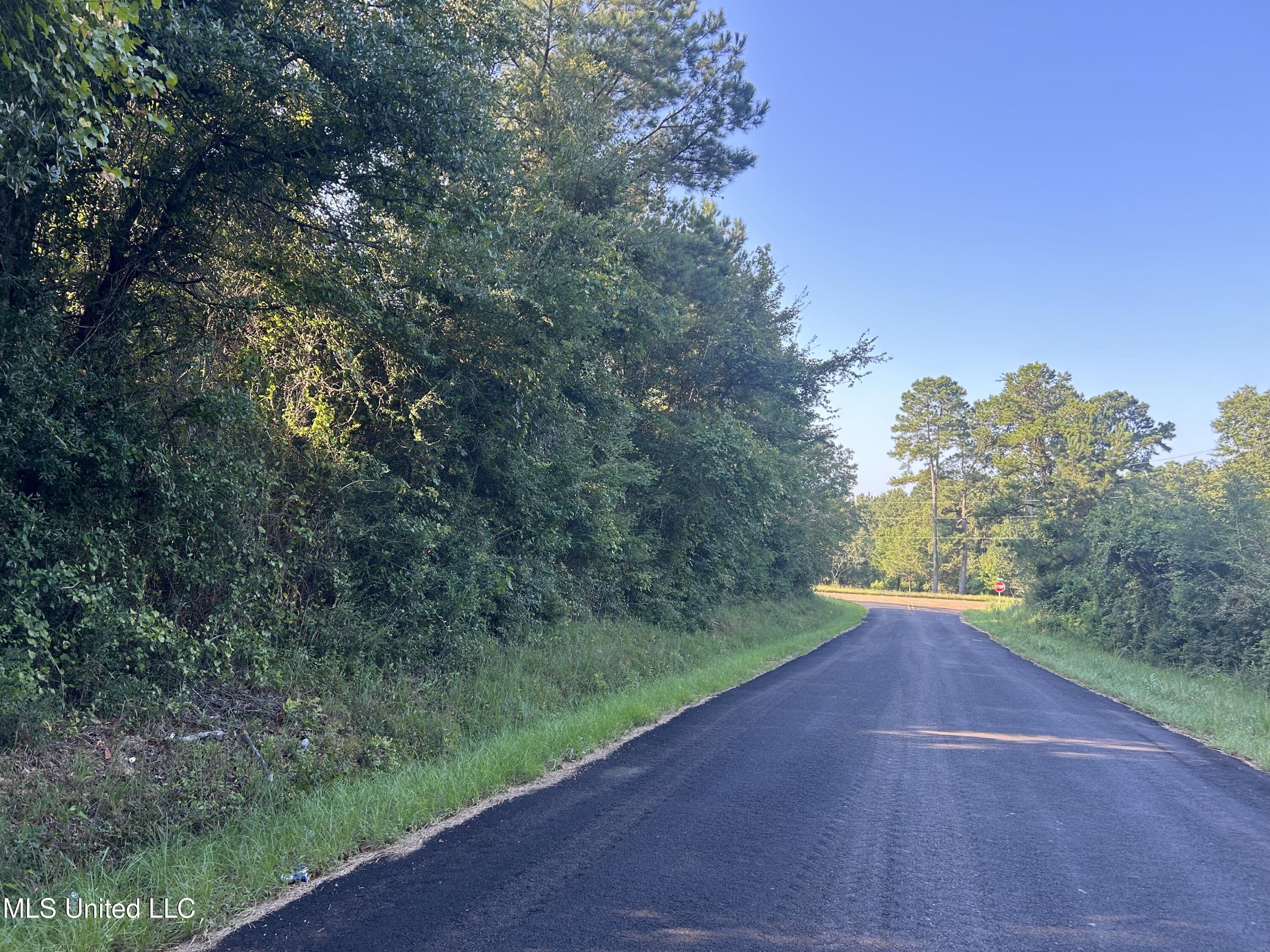 Tbd Tbd Highway Ruth, MS 39662 - Photo 1 of 16 2