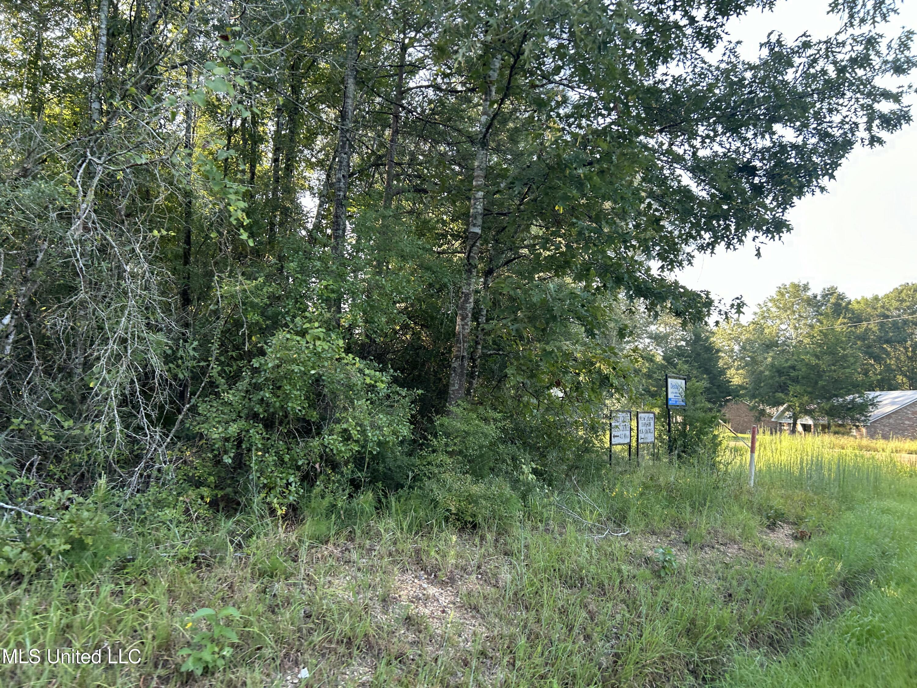 Tbd Tbd Highway Ruth, MS 39662 - Photo 12 of 16 IMG_4700 2