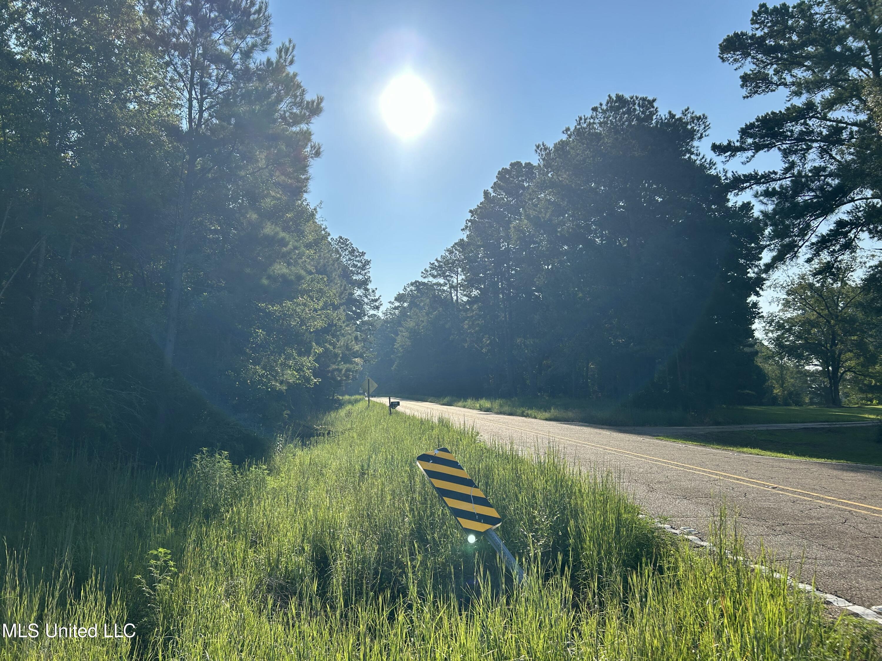 Tbd Tbd Highway Ruth, MS 39662 - Photo 13 of 16 IMG_4701 2