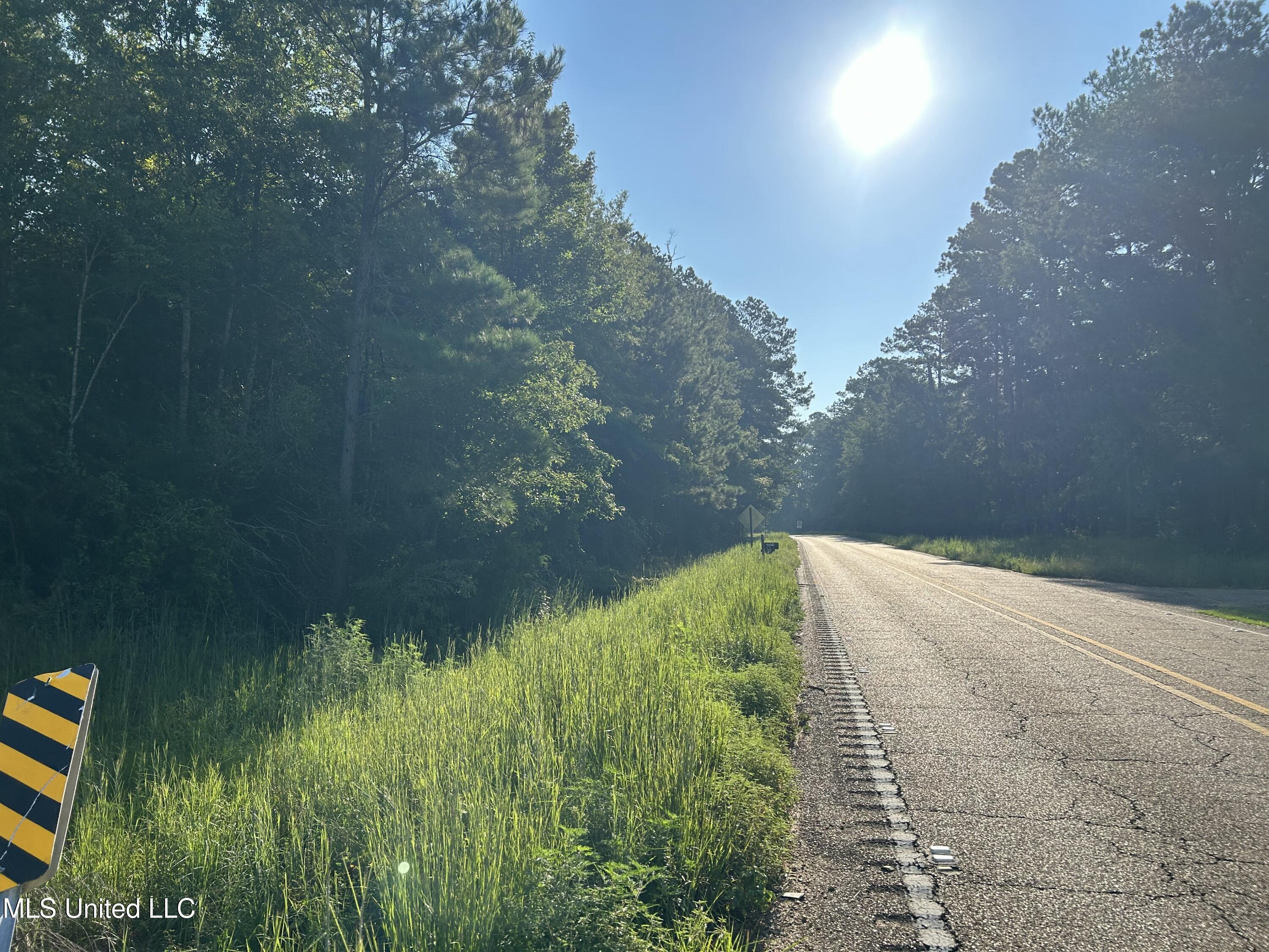 Tbd Tbd Highway Ruth, MS 39662 - Photo 14 of 16 IMG_4702 2